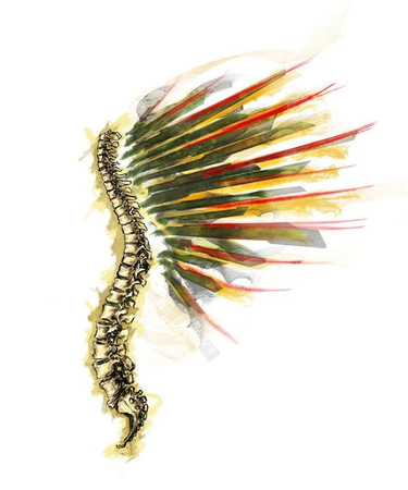 chiropractie Toulouse purpan logo