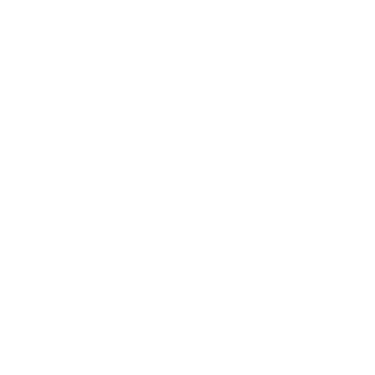 DigitalLogicIndia logo