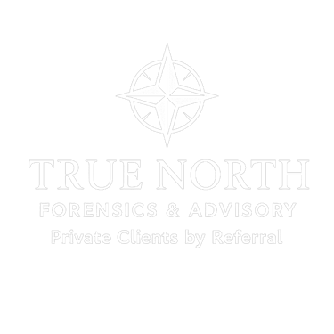 True North Forensics & Advisory logo