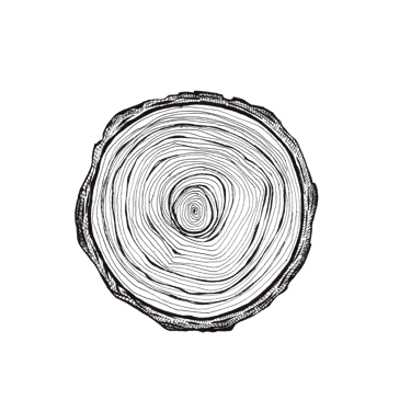 Hoytish logo