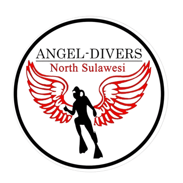 Angel Divers Manado | Dive Tour Agency in North Sulawesi logo