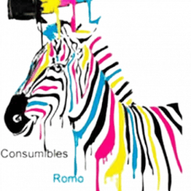 CONSUMIBLESROMO logo