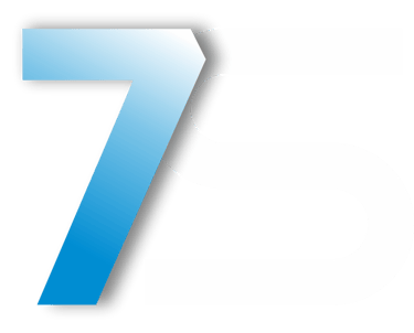 Seven Savers Automotive Safety Pvt Ltd logo