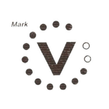 Veer scaffoldings logo