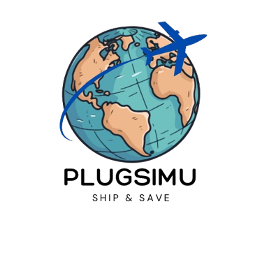 PLUGSIMU logo
