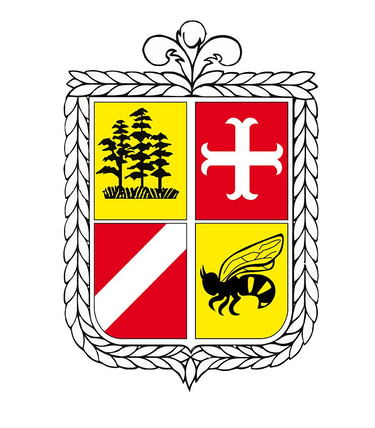 DESCUBRE  SAN CARLOS logo