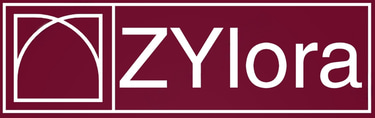 ZYlora logo