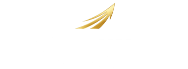 Vanttu | Soluções Estratégicas | Tributário logo