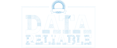 Data Reliable logo