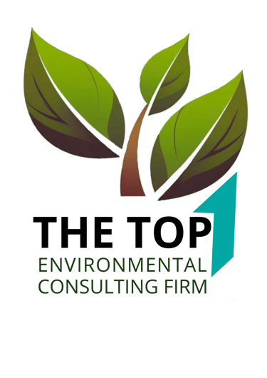 the top 1 logo