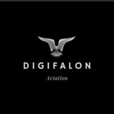 digifalcon.in logo