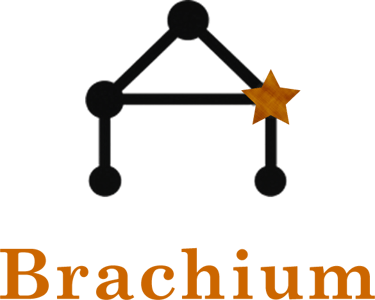 Brachium Construction logo