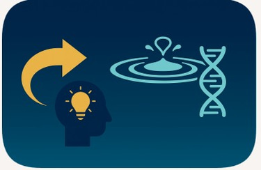 Excel InsightWorks logo