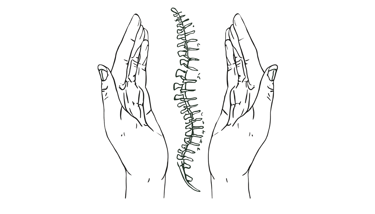 Ostéopathe Yann Brancato logo