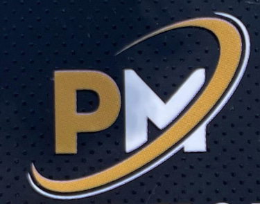 Punjab Mobile logo