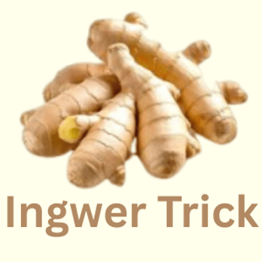 Ingwer Trick Deutschland logo