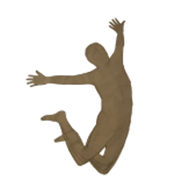 Salut i Esport  logo