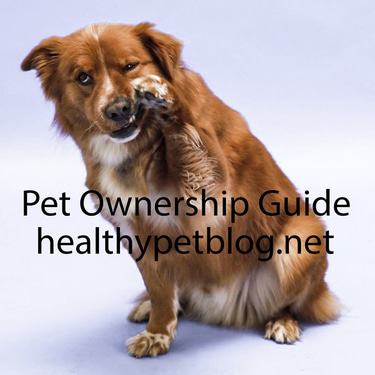 Informative Articles Your Guide to Responsible Pet Ownership logo