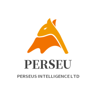 PERSEUS INTELLIGENCE LTD logo