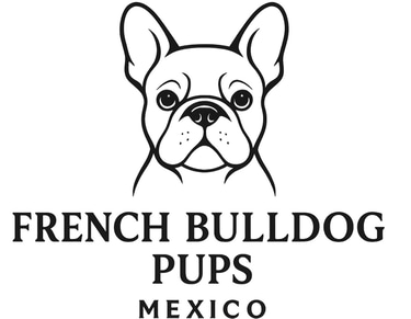 cachorros casa logo