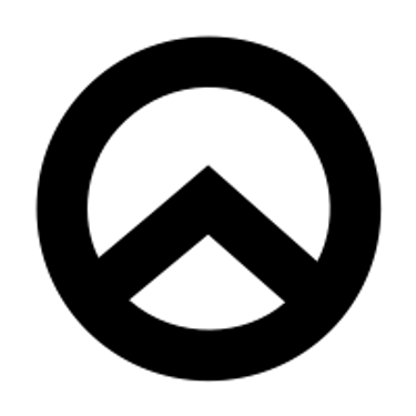 d10 ACE System logo