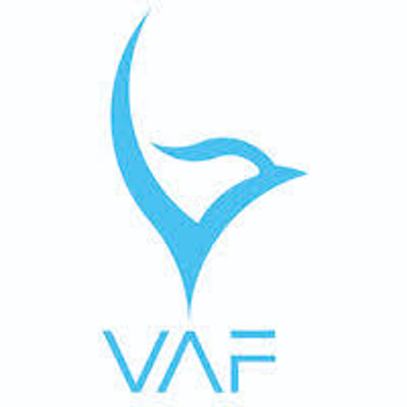 VAF invest GmbH logo