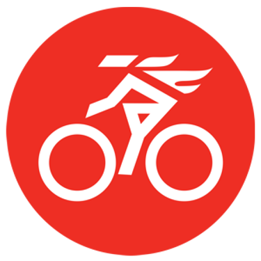 Bike Scouts Project logo