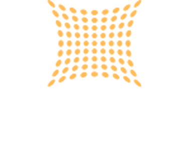 AFP Visuals logo