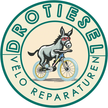 Drotiesel - Bicycle Workshop logo