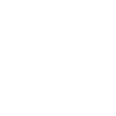 Emira Tours logo