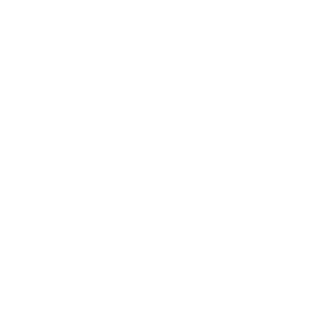 Perfect Home logo