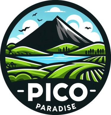 Pico Paradise logo