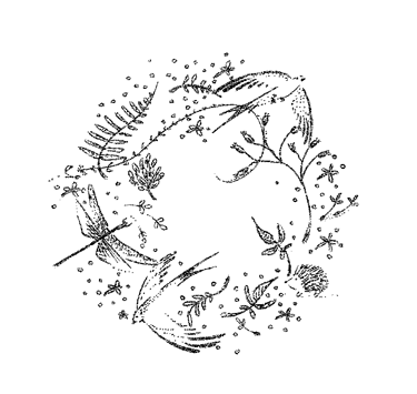 Scintillements de décembre logo