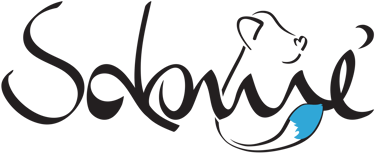 Salomé logo