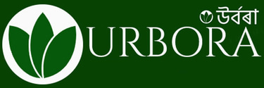 Urbora logo