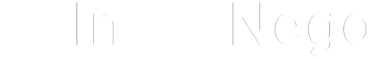 IntelliNego logo