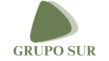 GRUPO SUR logo