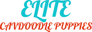 Toy Poodle Puppies logo