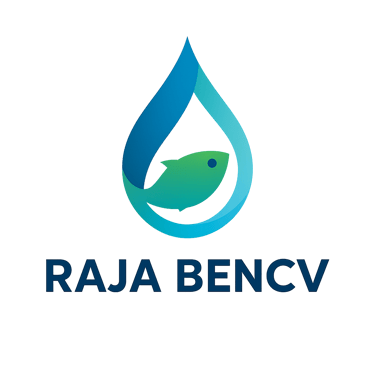 CV RAJA BENUR logo