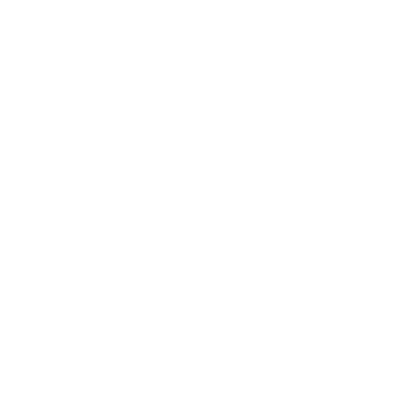 F&F Cars B.V. logo