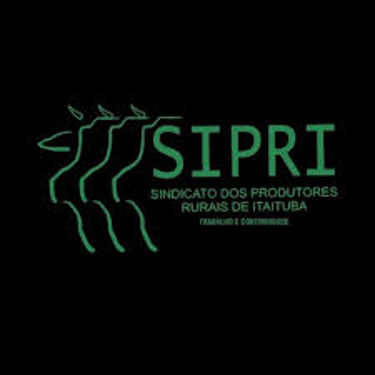 SINDICATO DOS PRODUTORES RURAIS DE ITAITUBA logo
