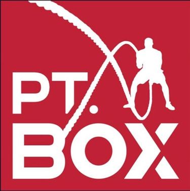 Pt.box logo