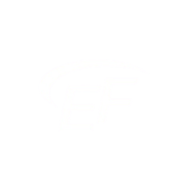 Estetic Face logo