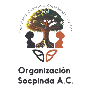 SOCPINDA logo