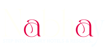 Nabhay logo