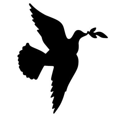 Te Huarahi logo
