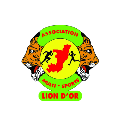 Association Multisports Lion d'Or logo
