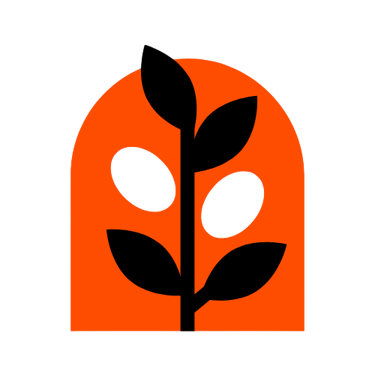 First Domain Choice logo