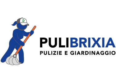 PuliBrixia logo