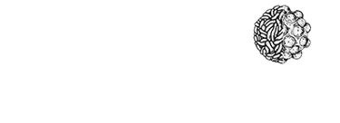 Estúdio Influenza logo